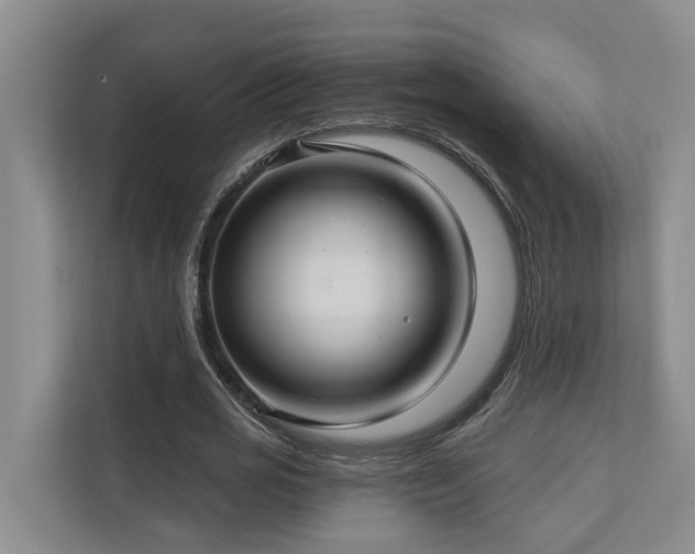 X0000111170725200907011349