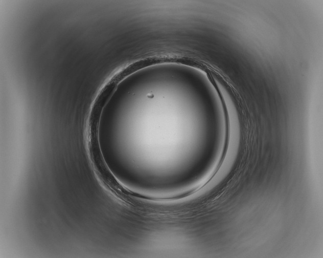 X0000111170726200907011349