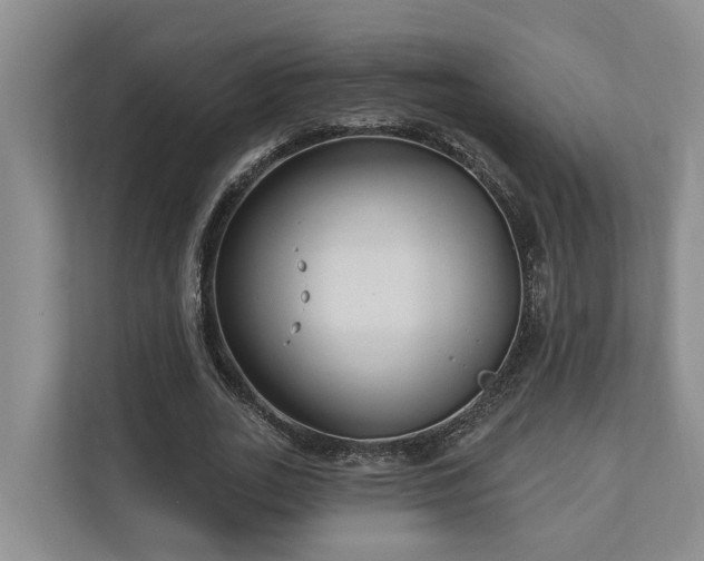 X0000111170727200907011349