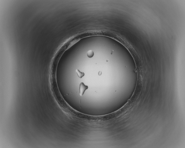 X0000111170728200907011349