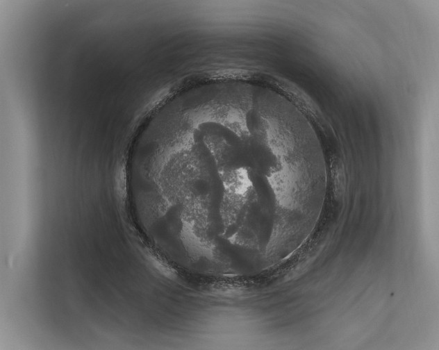 X0000111170729200907011349