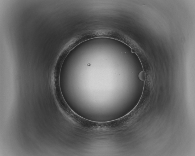 X0000111170730200907011349