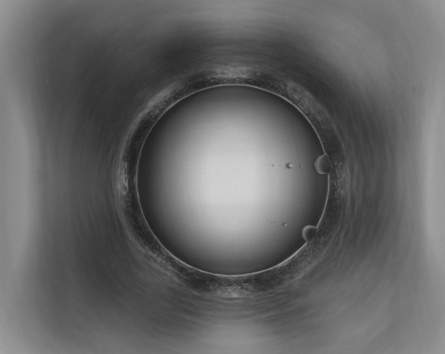 X0000111170731200907011349