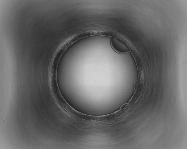 X0000111170732200907011349