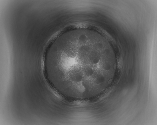 X0000111170733200907011349