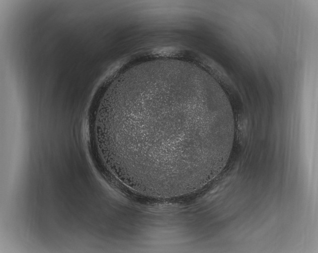 X0000111170734200907011349