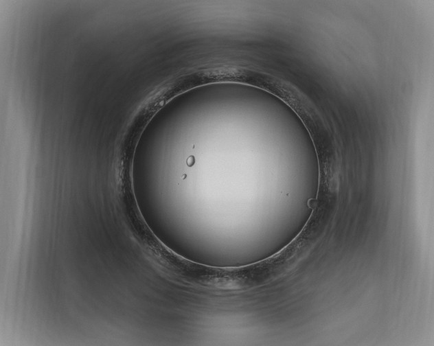 X0000111170735200907011349