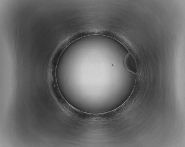 X0000111170736200907011349