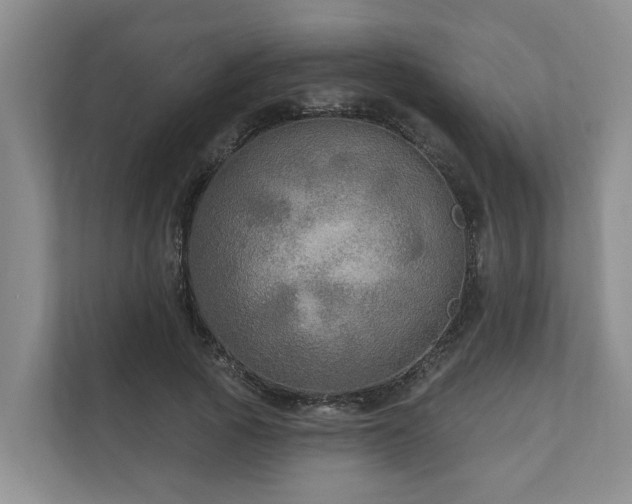 X0000111170737200907011349