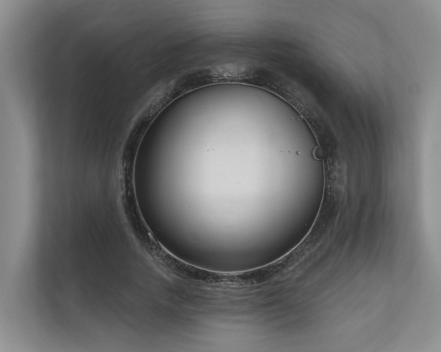 X0000111170738200907011349