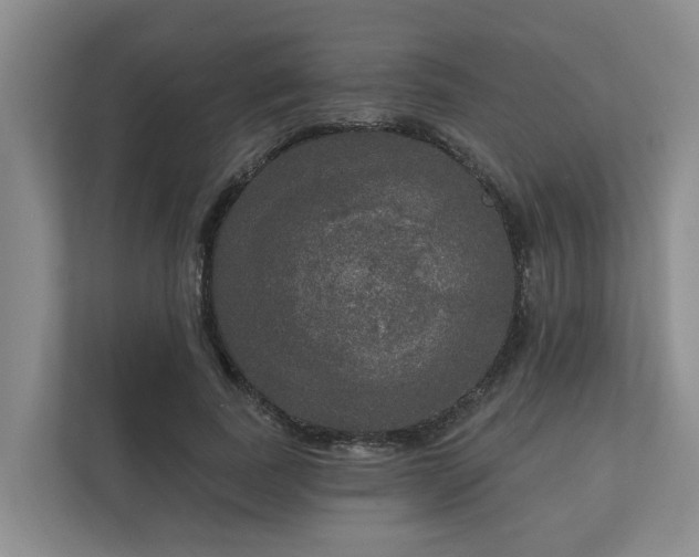 X0000111170739200907011349