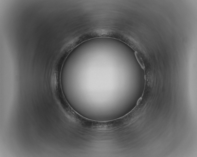 X0000111170740200907011349