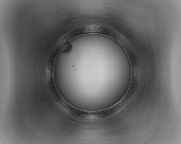 X0000111170741200907011349