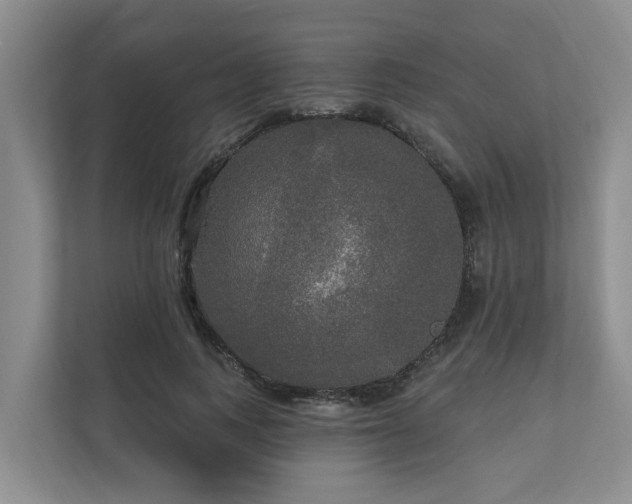 X0000111170743200907011349