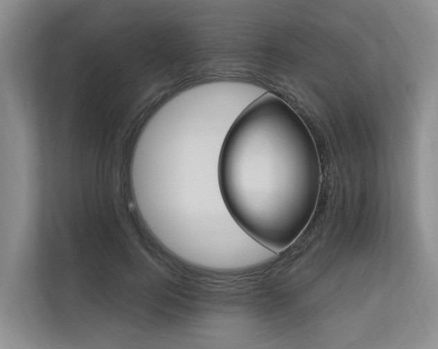 X0000111170744200907011349