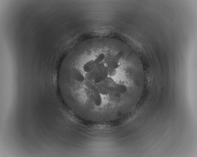 X0000111170745200907011349