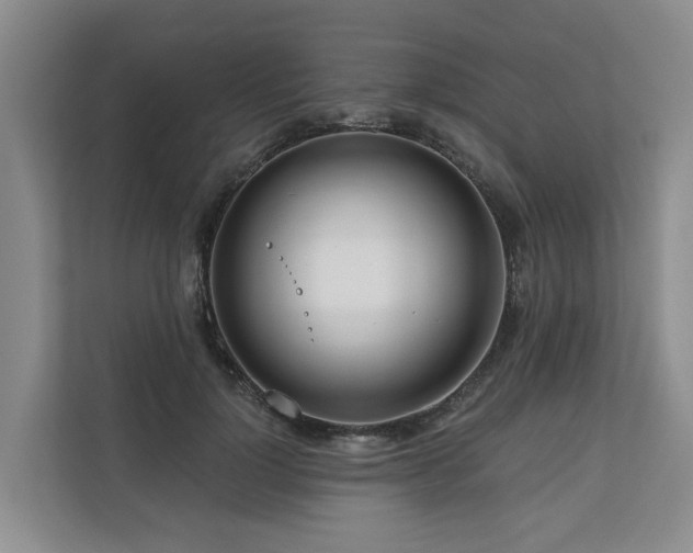 X0000111170748200907011349