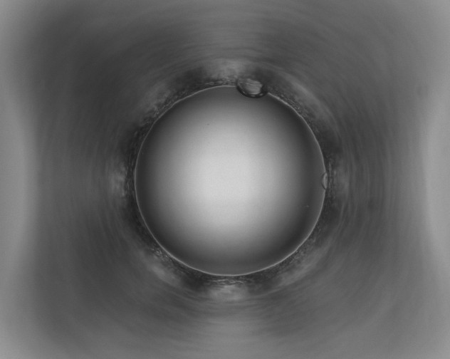 X0000111170750200907011349