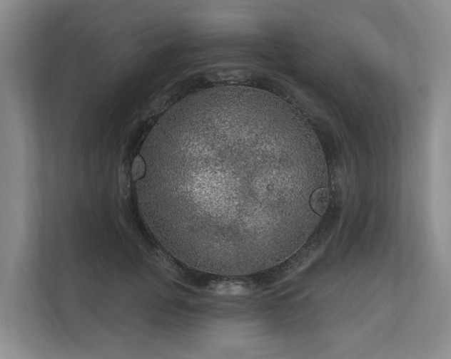 X0000111170751200907011349