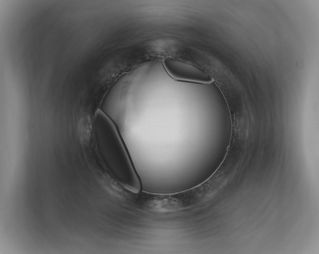 X0000111170752200907011349