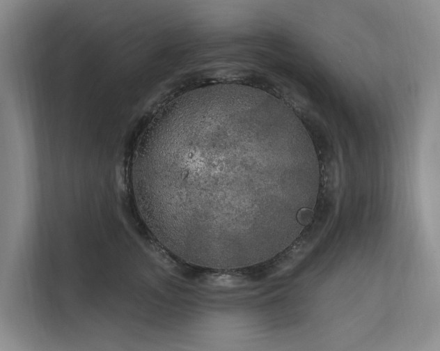 X0000111170755200907011349