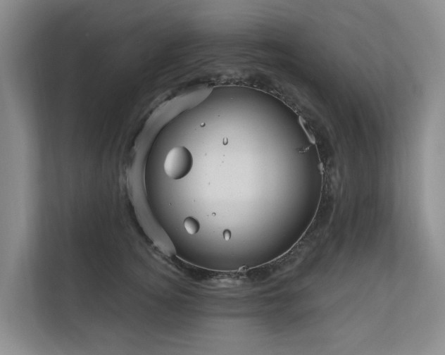 X0000111170756200907011349