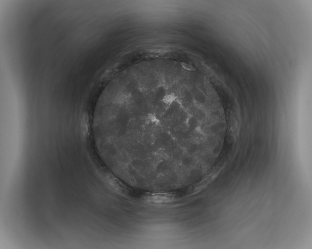 X0000111170758200907011349