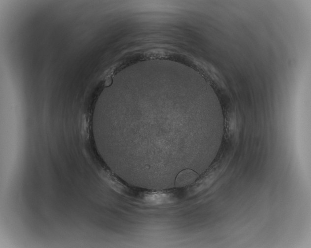 X0000111170759200907011349