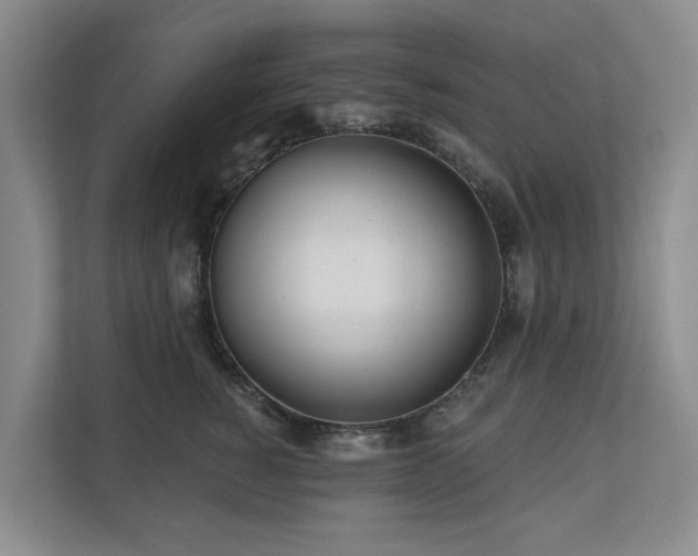 X0000111170760200907011349