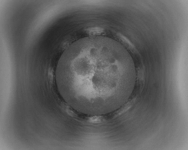 X0000111170761200907011349