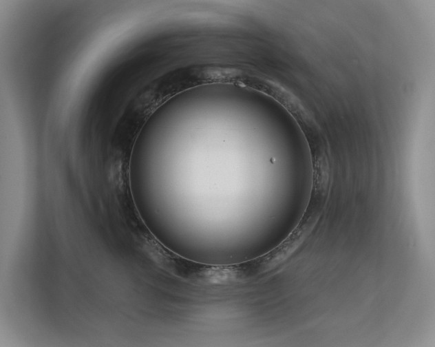 X0000111170762200907011349