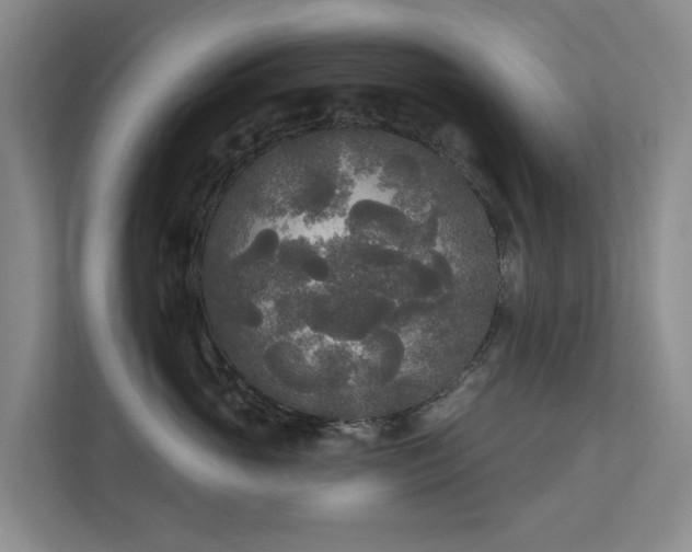 X0000111170765200907011349