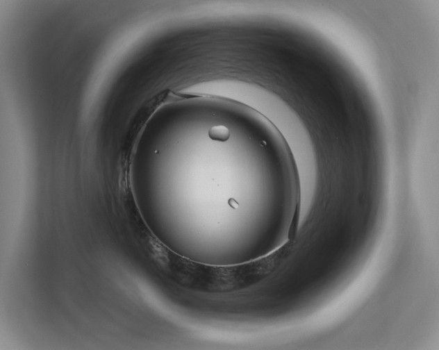 X0000111170766200907011349