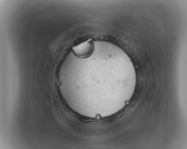 X0000111170769200907011349