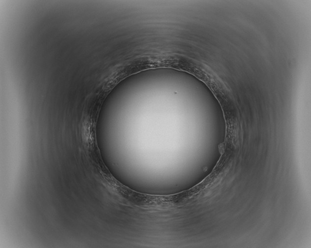 X0000111170770200907011349