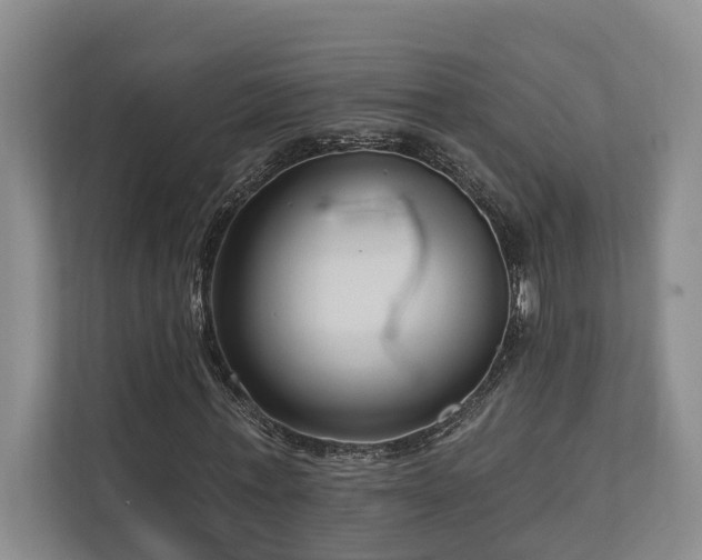 X0000111170771200907011349