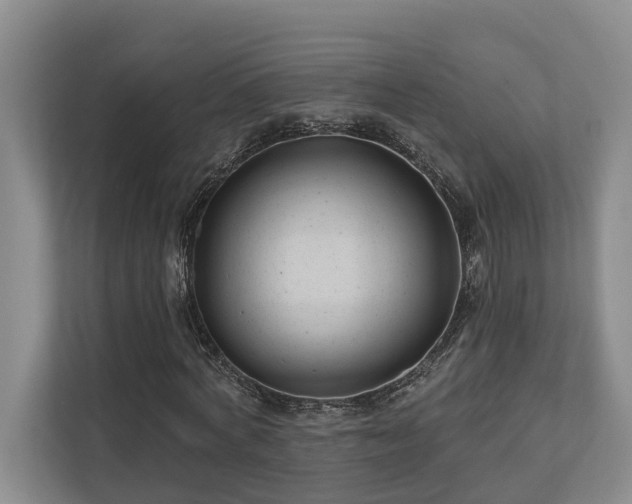 X0000111170772200907011349