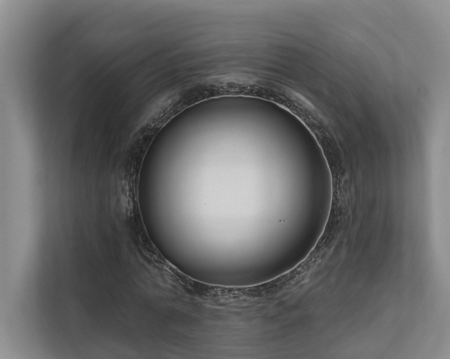 X0000111170774200907011349