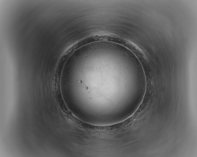 X0000111170775200907011349