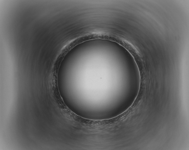 X0000111170776200907011349