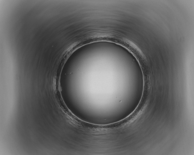 X0000111170777200907011349