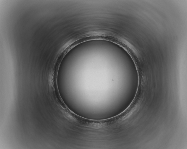 X0000111170778200907011348