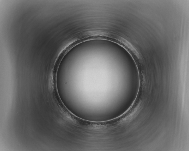 X0000111170782200907011348