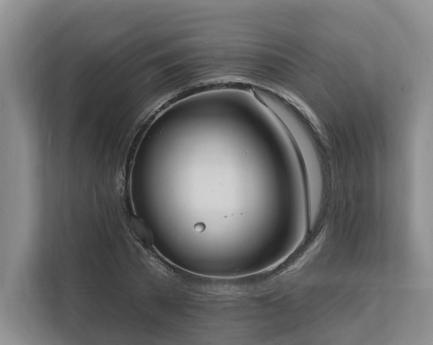 X0000111170785200907011348