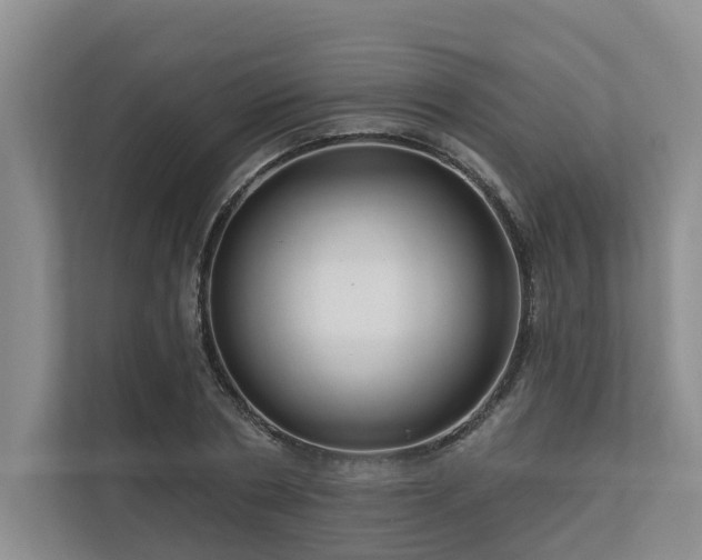 X0000111170786200907011348