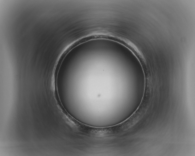 X0000111170791200907011348