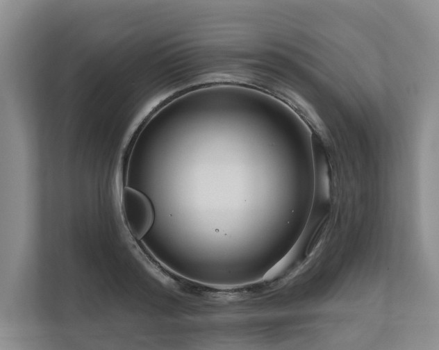 X0000111170796200907011348