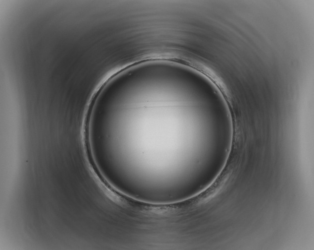 X0000111170803200907011348