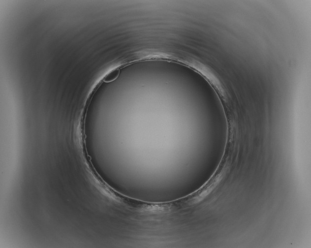 X0000111170806200907011348