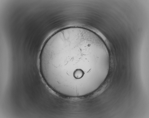 X0000111170807200907011348